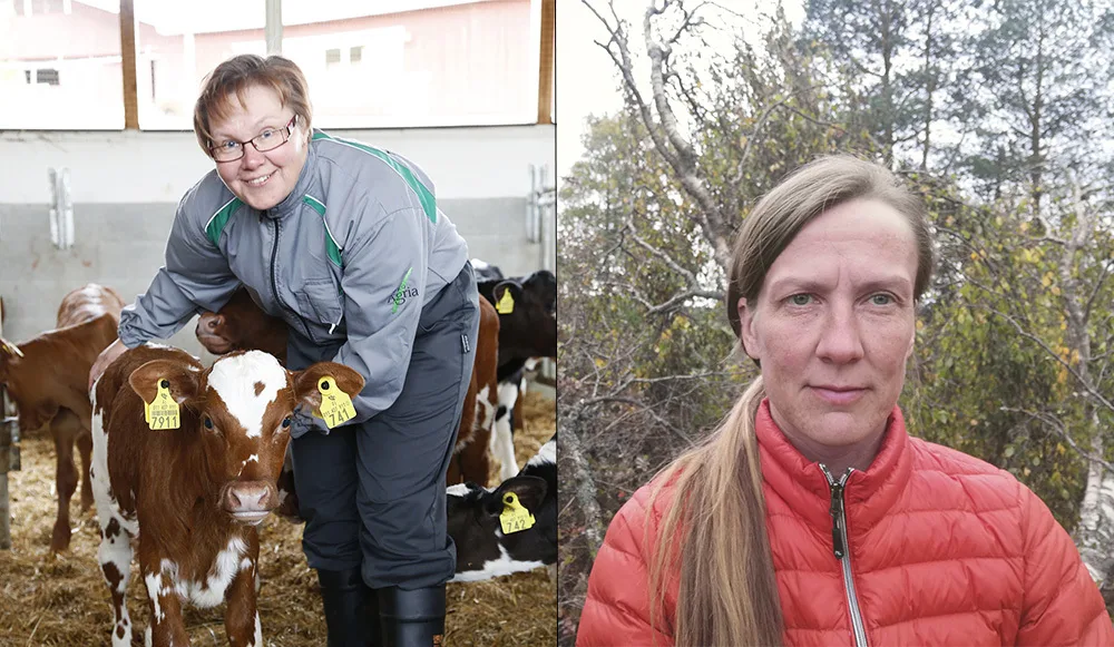 Sari ja virva hr blogi