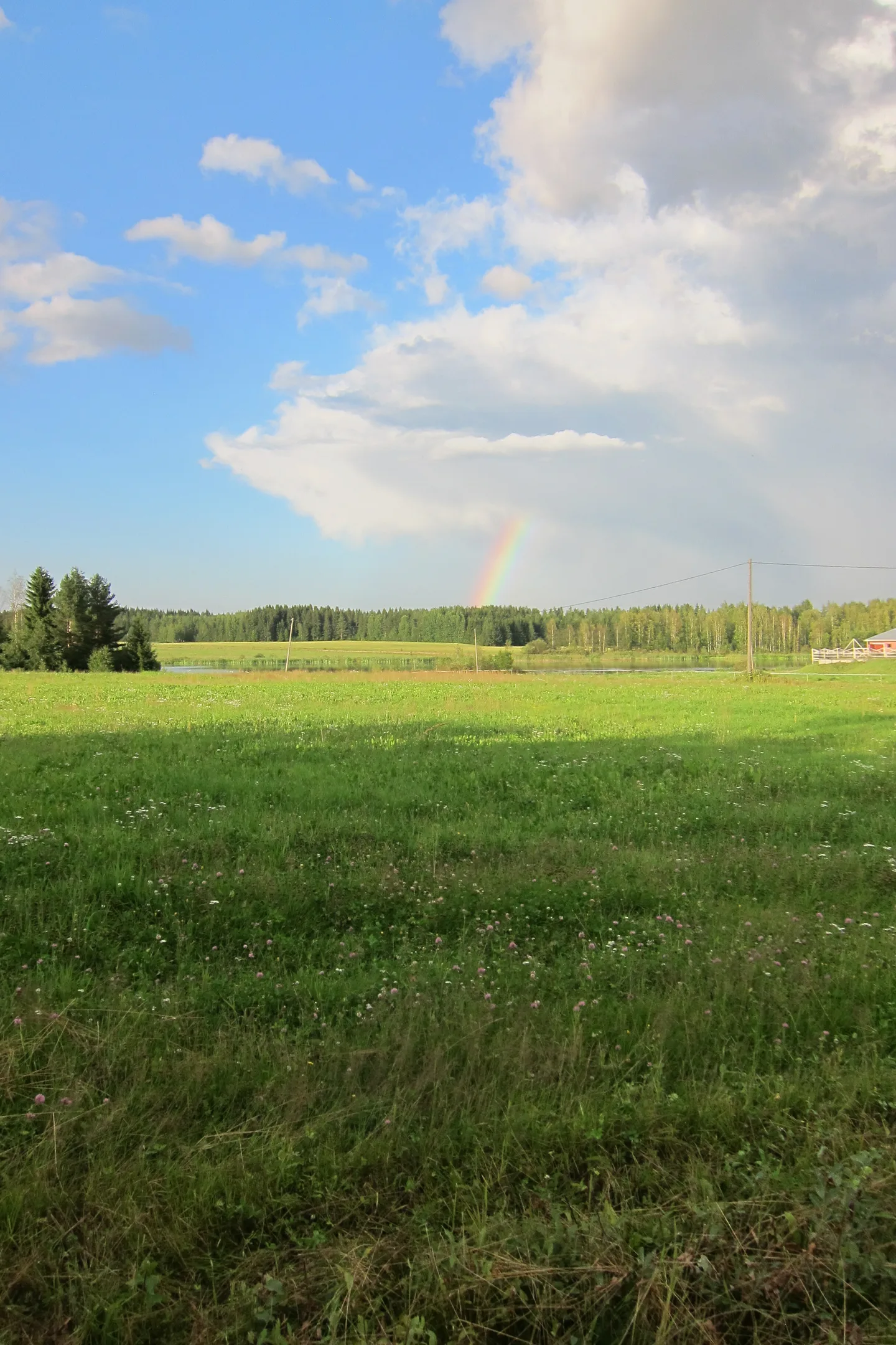 Sateenkaari 2014 001 0