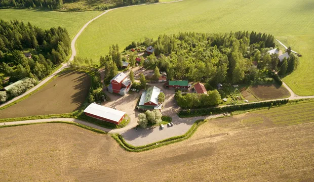 Slf artikkelikuva 620x360 sa