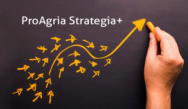 Strategiaplusartikkeliteksti2