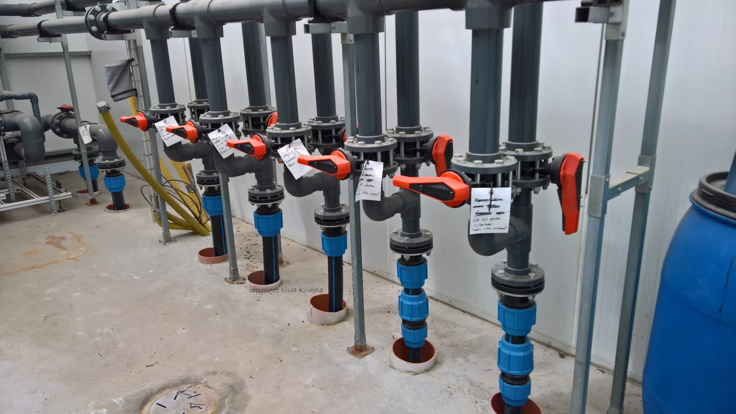 Talousvarautuminenonparastariskienhallintaaputkistokuvaliisakoskela