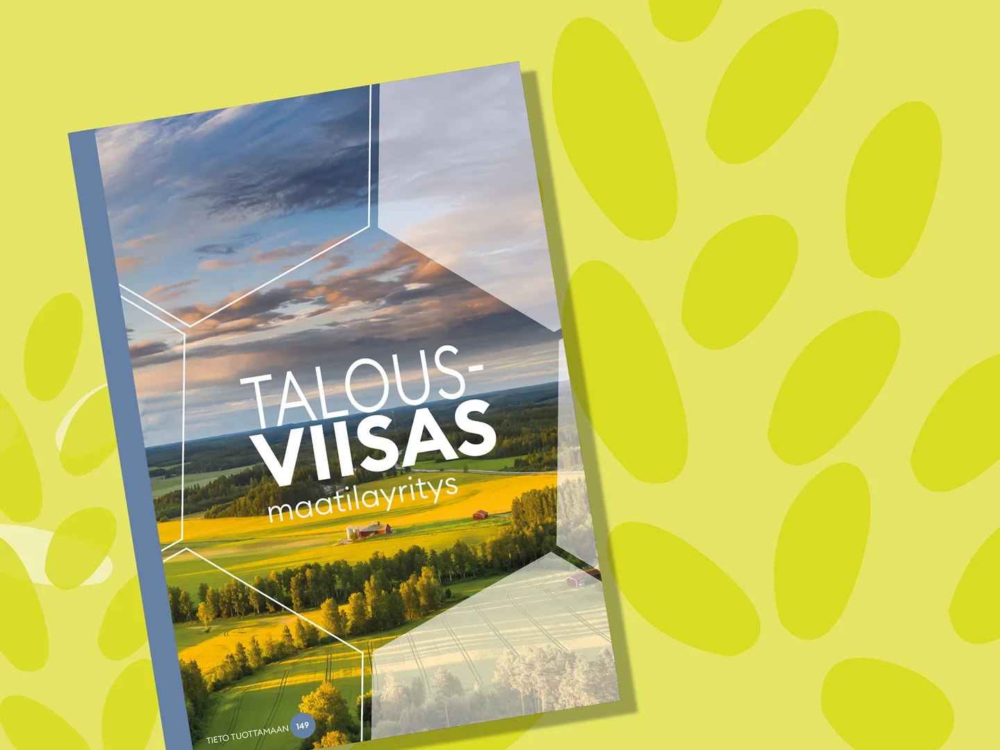 Talousviisas nettisivut 2000x1500