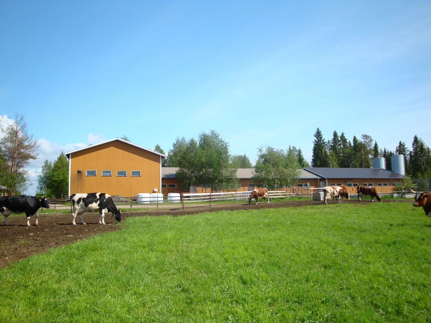 Tilakaynti 120609 003