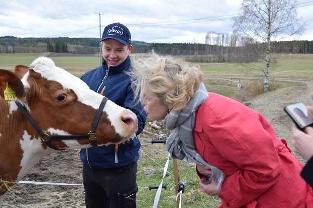 Kansliapäällikkö Jaana Husu-Kallio tervehti 150-tonnaria Tataria Vieremällä Eskelisen tilan nuorenpolven Ville-Veikon avustuksella.