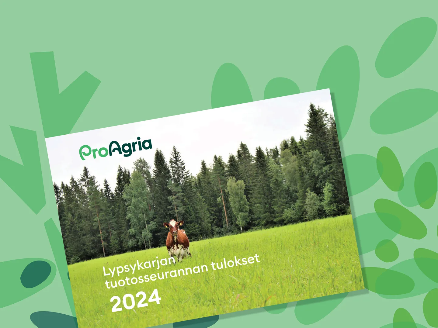 Tuotoss tulokset2024