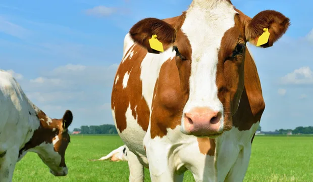 Tuotosseurannan aamukahvit 2021 uutiskuva