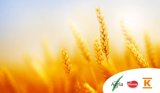 Tuottajallekiitosartikkeliuuutinenlogot 0