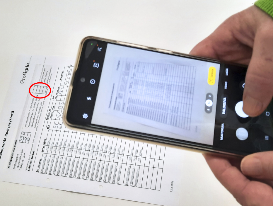 Koelypsyn tallennus käynnissä henkilö ottaa älypuhelimella kuvan täytetystä koelypsykortista