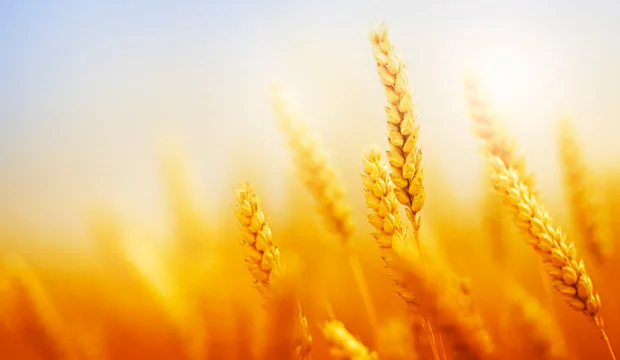 Vaasanyhteistyoartikkeliuuutinen 0