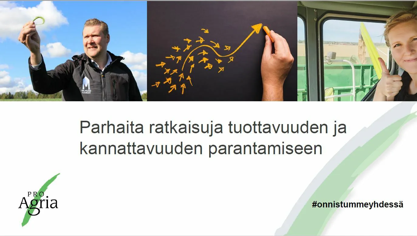 Vaikuttavuus 2019