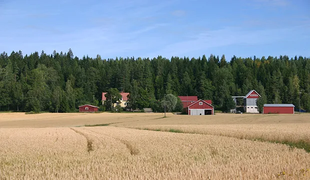 Vehnapelto ja talouskeskus paivi meronen