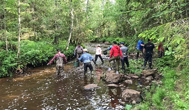 Runsaslukuinen talkooväki työntouhussa sankkotalkoissa.
