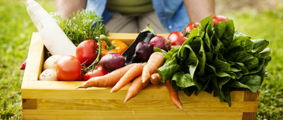 Vihanneslaatikko depositphotos 21908997 original pien