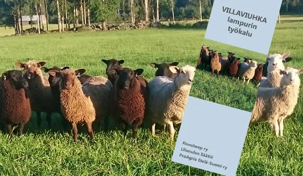 Villaviuhka nettisivu