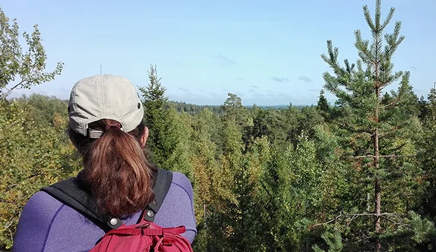 Voima kuva2 nettisivuille 620x360