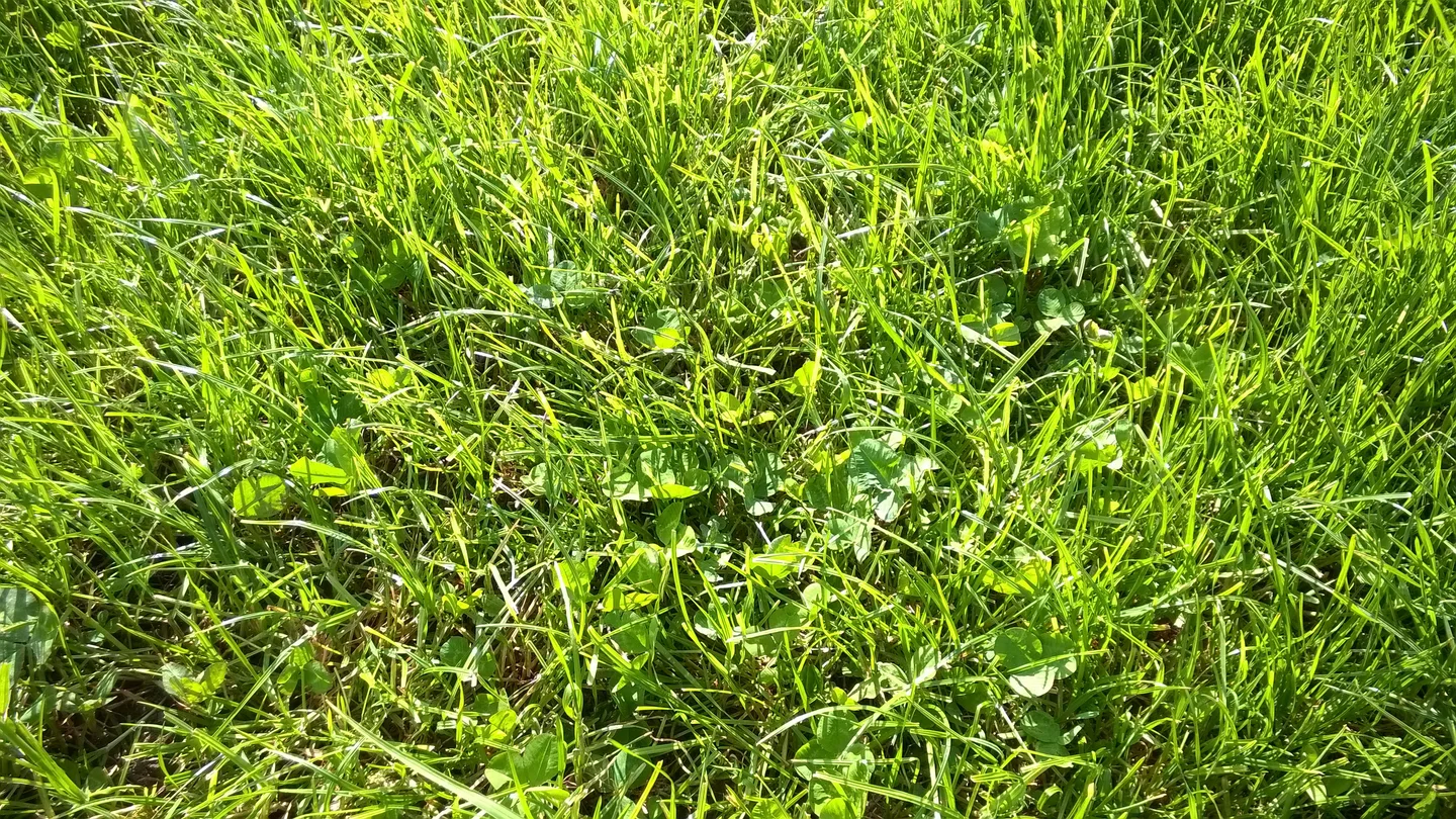 Wp 20150512 018
