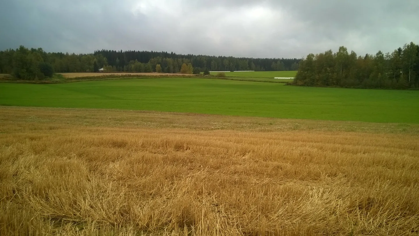 Wp 20150922 011 juhani2