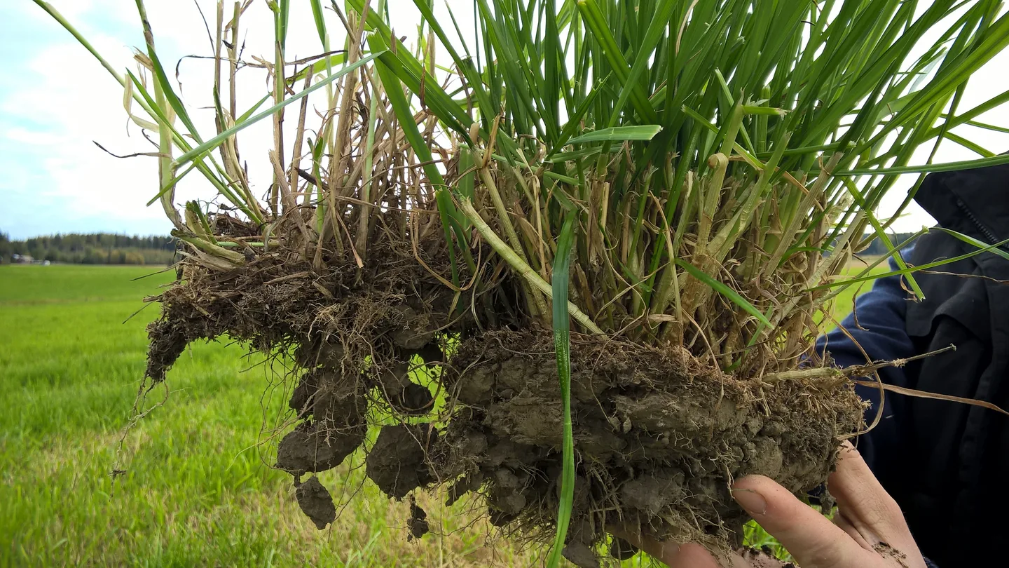 Wp 20160922 11 15 09 pro