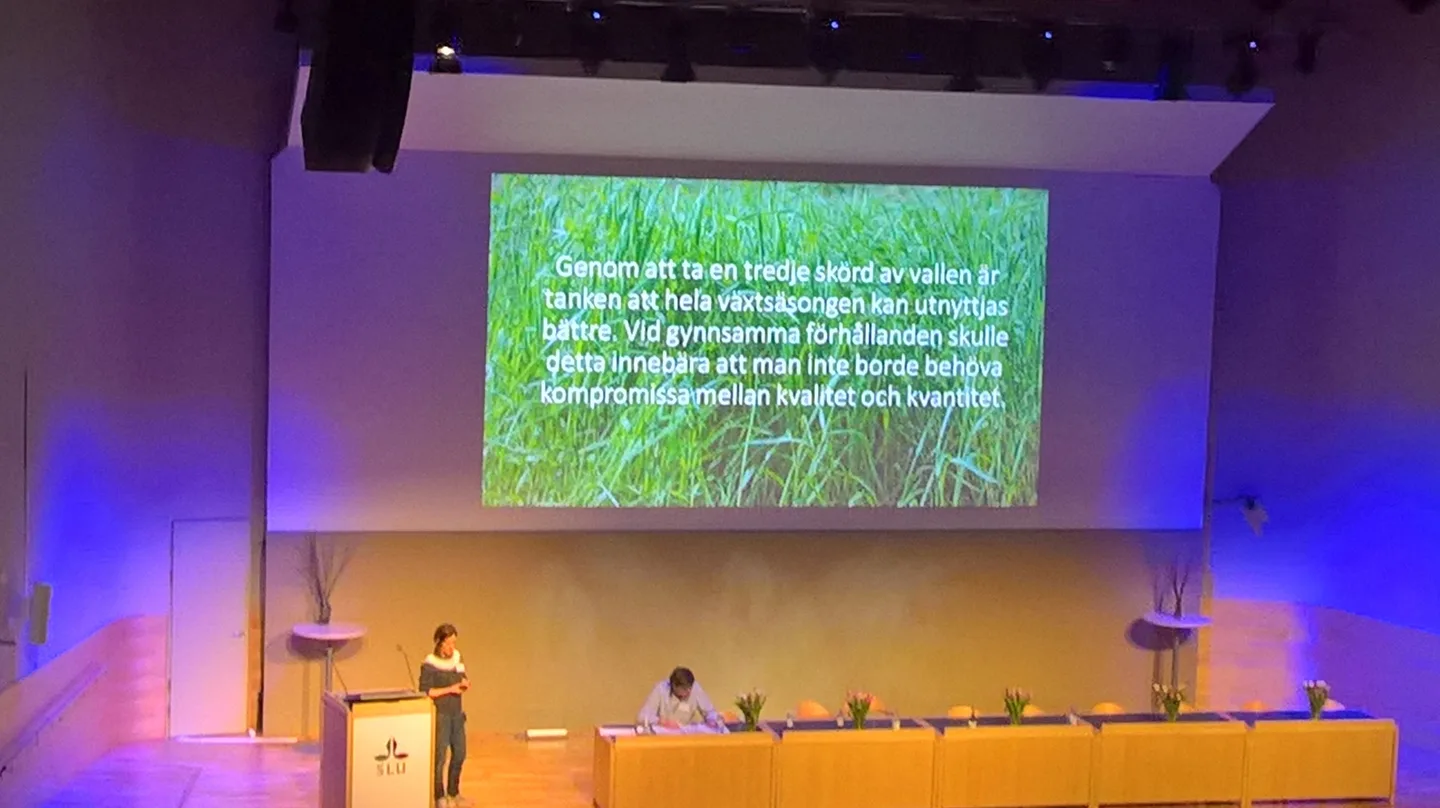 Wp 20170208 14 16 00 pro