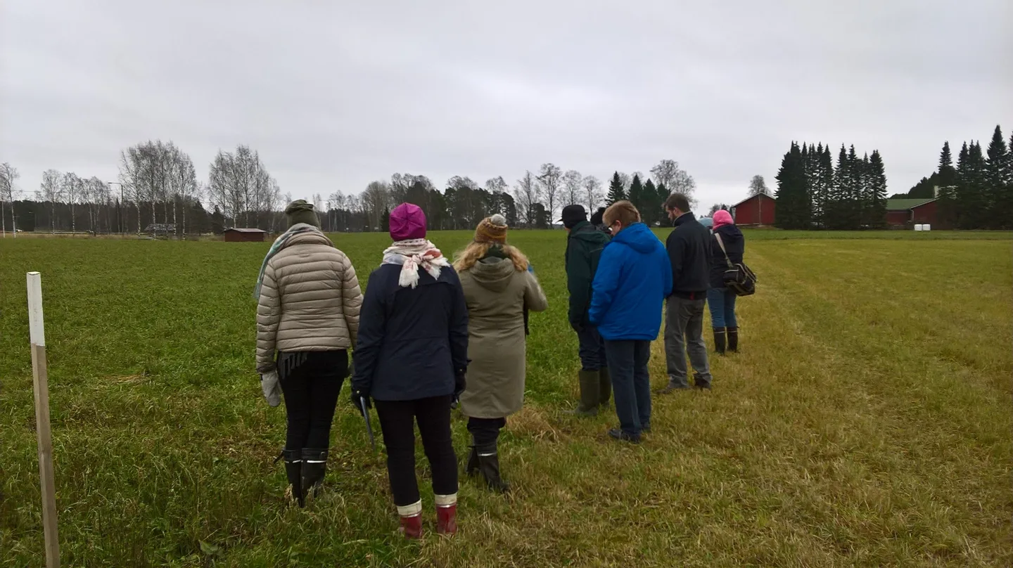 Wp 20171109 11 27 46 pro